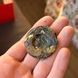 BAMA "Ginseng Chenpi" Шоу Мей id_473 фото 5